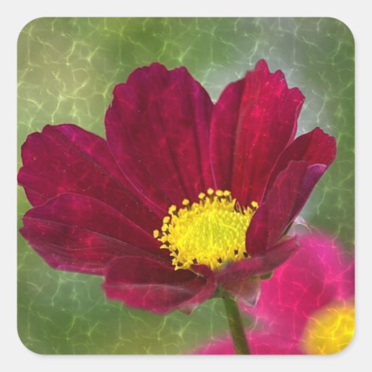 Shimmering Cosmos Vierkante Sticker (Voorkant)