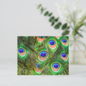 Shimmering Peacock Feathers Briefkaart (Staand voorkant)