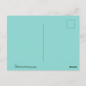 Shimmering Peacock Feathers Briefkaart (Achterkant)