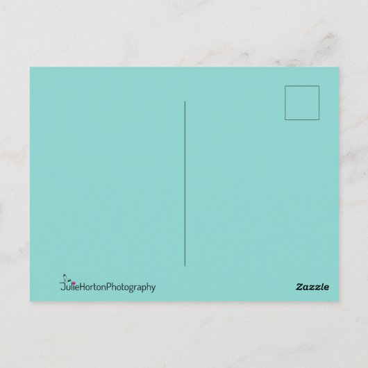 Shimmering Peacock Feathers Briefkaart (Achterkant)