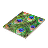 Shimmering Peacock Feathers Tegeltje (Zijkant)