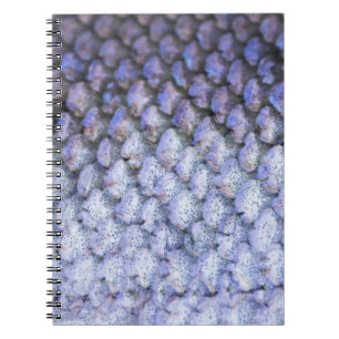 Shimmering Salmon Notitieboek