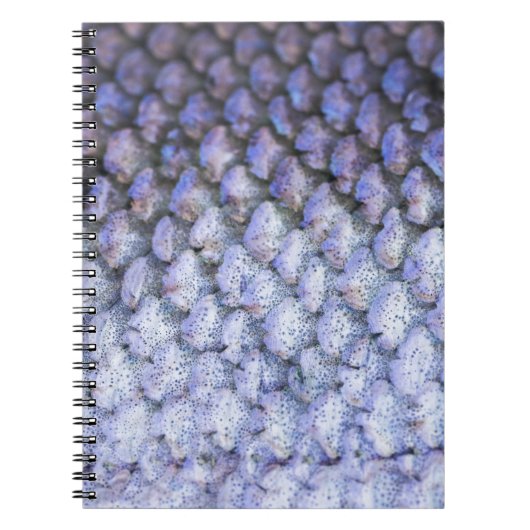 Shimmering Salmon Notitieboek (Voorkant)