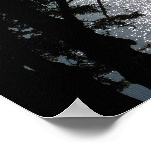 "Shimmering Silhouettes" Poster (Hoek)