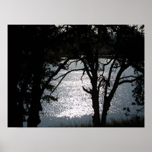 "Shimmering Silhouettes" Poster (Voorkant)