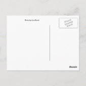 Shine Briefkaart (Achterkant)