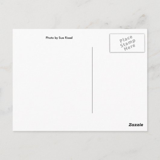 Shine Briefkaart (Achterkant)