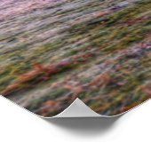 Shine Dome Poster (Hoek)