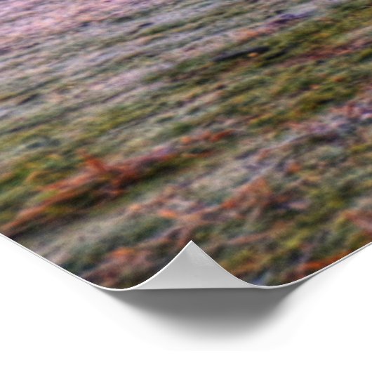 Shine Dome Poster (Hoek)