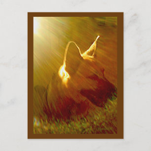 Shine On Me German Shepherd #1 Briefkaart