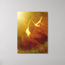 Shine On Me German Shepherd #1 Canvas Afdruk