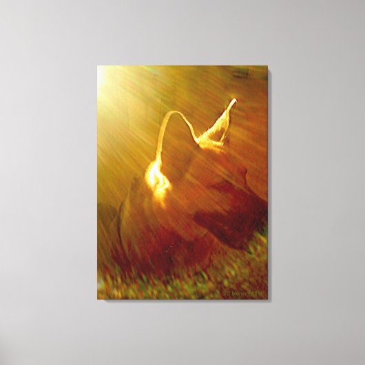 Shine On Me German Shepherd #1 Canvas Afdruk (Voorkant)