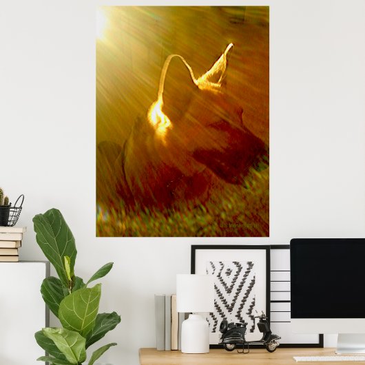 Shine On Me German Shepherd #1 Poster (Thuiskantoor)