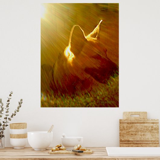 Shine On Me German Shepherd #1 Poster (Keuken)