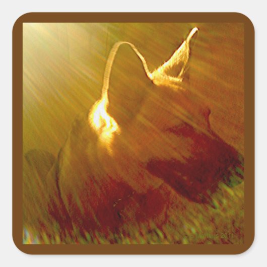 Shine On Me German Shepherd #1 Sticker (Voorkant)