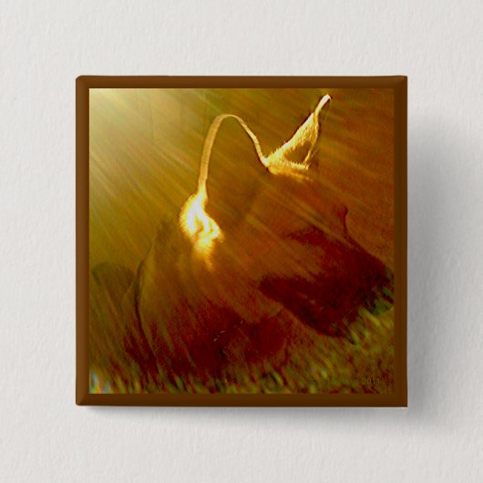 Shine On Me German Shepherd #1 Vierkante Button 5,1 Cm (Voorkant)