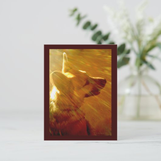 Shine On Me German Shepherd #2 Briefkaart (Staand voorkant)