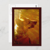 Shine On Me German Shepherd #2 Briefkaart (Voorkant / Achterkant)