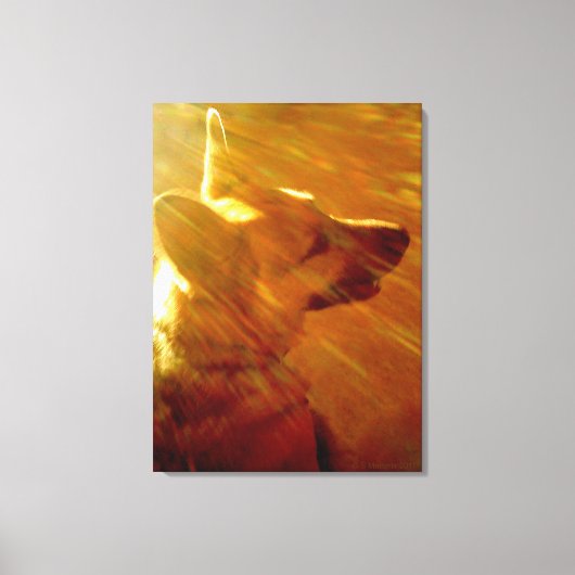 Shine On Me German Shepherd #2 Canvas Afdruk (Voorkant)