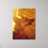 Shine On Me German Shepherd #2 Canvas Afdruk (Voorkant)