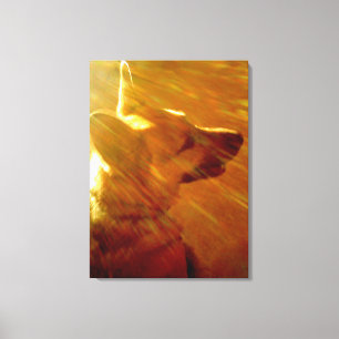 Shine On Me German Shepherd #2 Canvas Afdruk