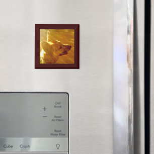 Shine On Me German Shepherd #2 Magneet