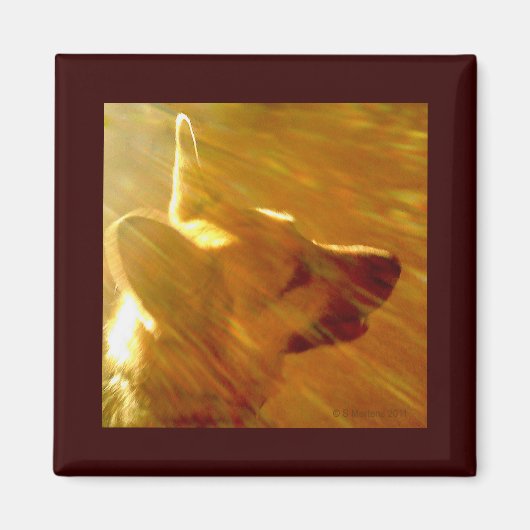 Shine On Me German Shepherd #2 Magneet (Voorkant)
