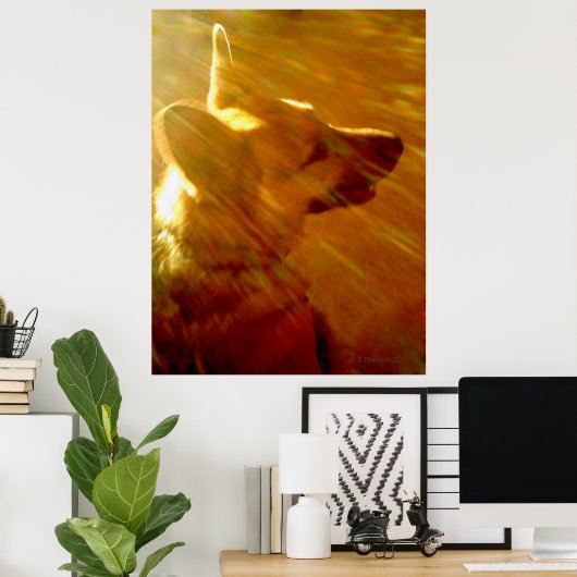 Shine On Me German Shepherd #2 Poster (Thuiskantoor)