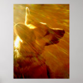 Shine On Me German Shepherd #2 Poster (Voorkant)
