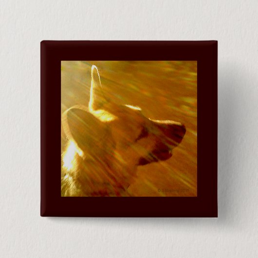 Shine On Me German Shepherd #2 Vierkante Button 5,1 Cm (Voorkant)