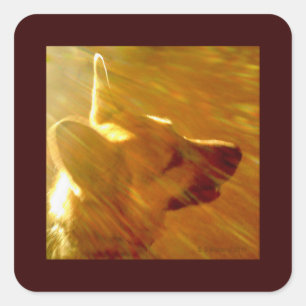 Shine On Me German Shepherd #2 Vierkante Sticker