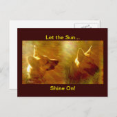 Shine On Me German Shepherd Briefkaart (Voorkant / Achterkant)