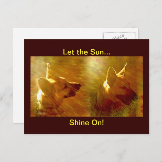 Shine On Me German Shepherd Briefkaart (Voorkant / Achterkant)