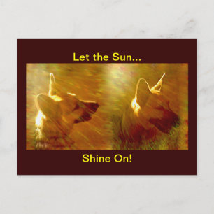 Shine On Me German Shepherd Briefkaart