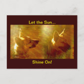 Shine On Me German Shepherd Briefkaart (Voorkant)
