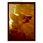 Shine On Me German Shepherd Sympathy Poem Kaart (Voorkant)