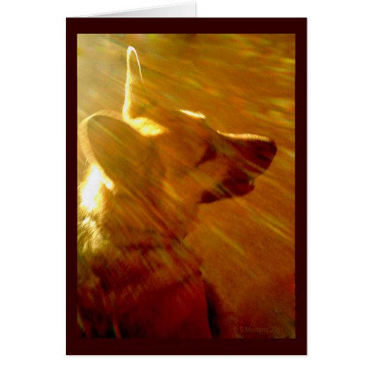 Shine On Me German Shepherd Sympathy Poem Kaart (Voorkant)