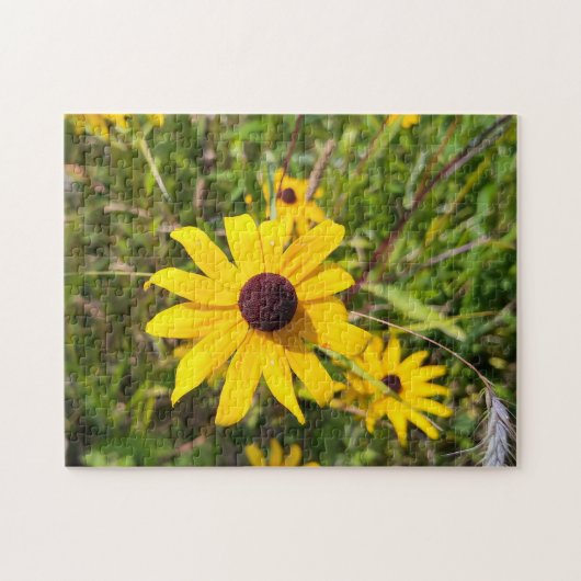 Shine, Shout en Sing Legpuzzel (Horizontaal)