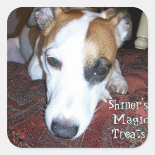 Shiner's Magic Treats Vierkante Sticker