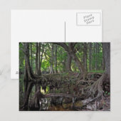 Shingle Creek. Briefkaart (Voorkant / Achterkant)