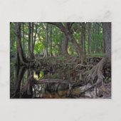 Shingle Creek. Briefkaart (Voorkant)