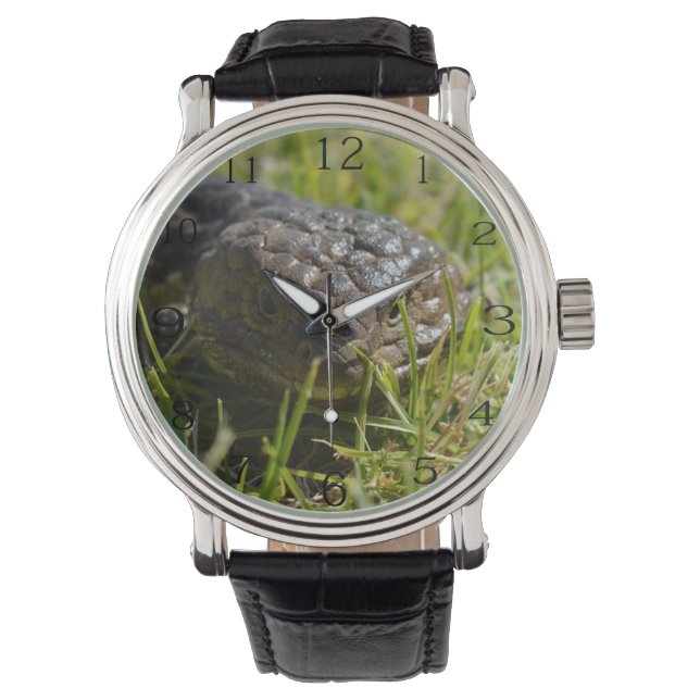 Shingleback Hagedis Gezicht,  Horloge (Voorkant)