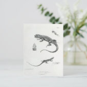 Shingled Iguana Briefkaart (Staand voorkant)