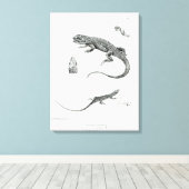 Shingled Iguana Canvas Afdruk (Insitu (Houten vloer))