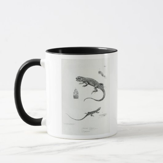 Shingled Iguana Mok (Links)