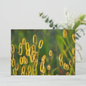 Shining Grass - Uitnodiging (Staand voorkant)