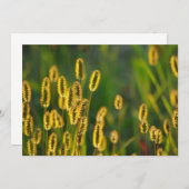 Shining Grass - Uitnodiging (Voorkant / Achterkant)