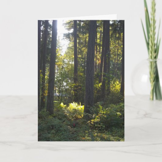 Shining Light - Folded Greeting Card Kaart (Voorkant)