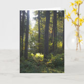 Shining Light - Folded Greeting Card Kaart (Gele Bloem)