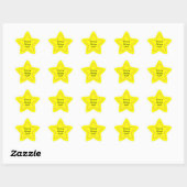 Shining Star Ster Sticker (Vel)